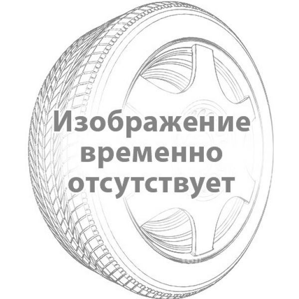 Барнаул Professional 156 185/75 R16 104/102Q (шип)